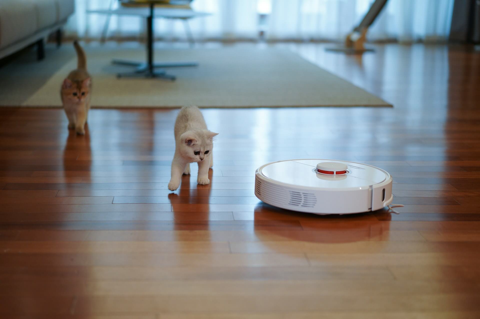 A white mini robot vacuum